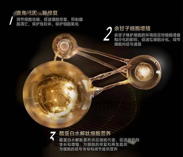 EC外汇平台想在2025年通过ec外汇平台交易用EA致富的你，真的靠谱吗？